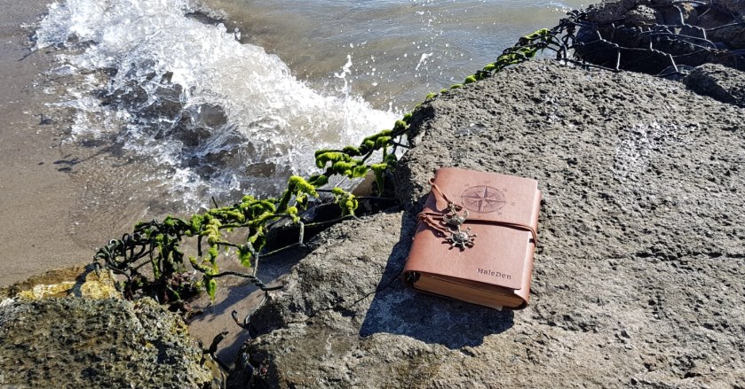 IMG_20180815_122520_544